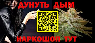 гидра Будённовск