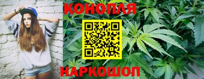 гидра Будённовск
