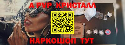 гидра Будённовск