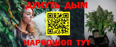 гидра Будённовск