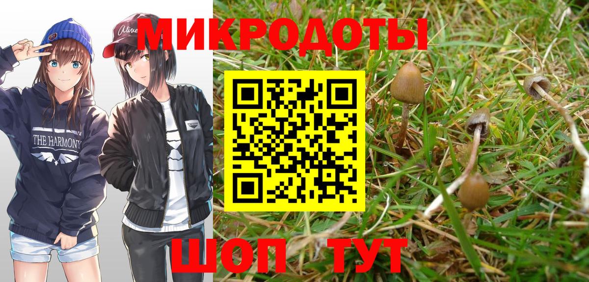 Псилоцибиновые грибы Psilocybe  Вход с VPN  Галлюциногенные грибы MAGIC MUSHROOMS  Сафоново 