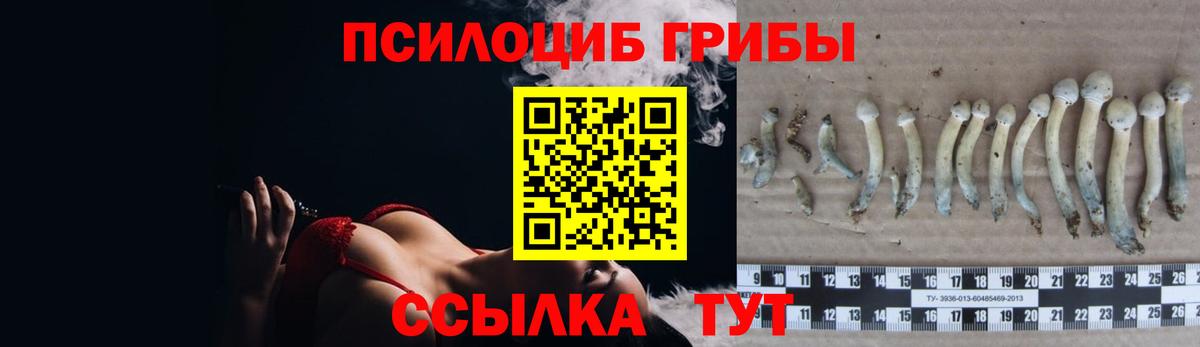 Псилоцибиновые грибы Magic Shrooms Сафоново